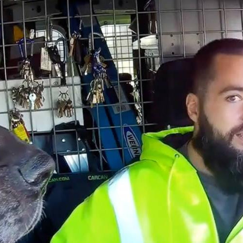 Holding Authorities Accountable: Dash Cam Footage Exposes Off-Duty Officer Punching Civilian - - BlackboxMyCar Canada