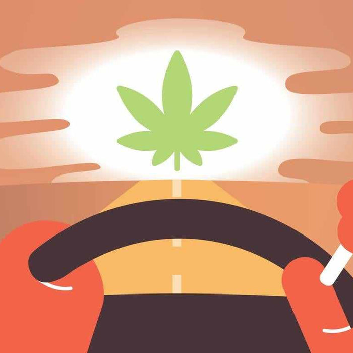 Marijuana & Driving: Can I Drive While High? - - BlackboxMyCar Canada