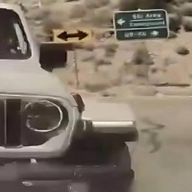 Dash Cam Captures Shocking Hit-and-Run on Mount Charleston, Nevada cover image