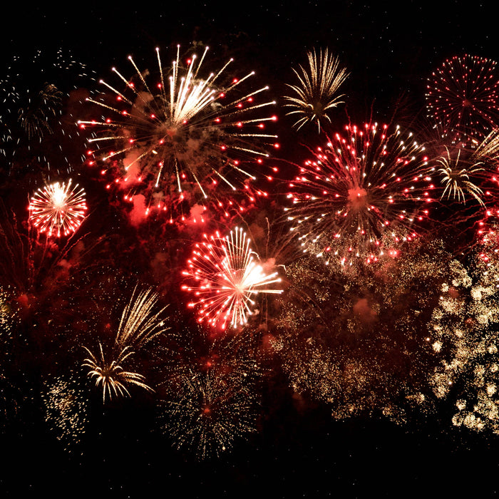 Blackboxmycar Wrapped: A Year of Milestones + Exciting Plans for 2025 cover image