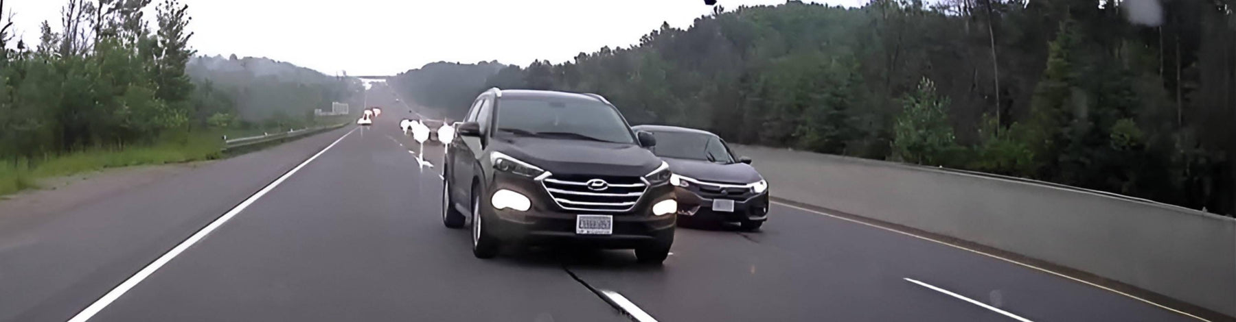 A Close Call in Barrie, Ontario: Stay Alert and Drive Safely cover image