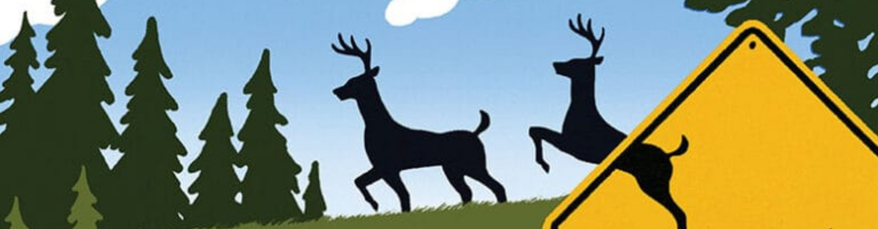 Driving with Care: How Dash cams Protect Wildlife on the Road cover image