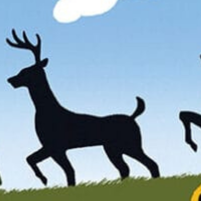 Driving with Care: How Dash cams Protect Wildlife on the Road cover image