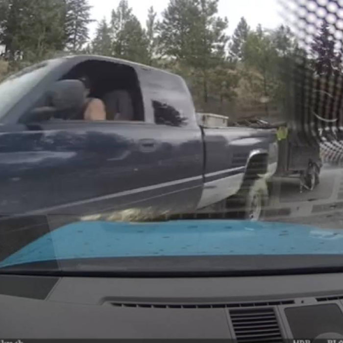 Dash Cam Footage Helps Catch Thieves in Alberta Rockies cover image