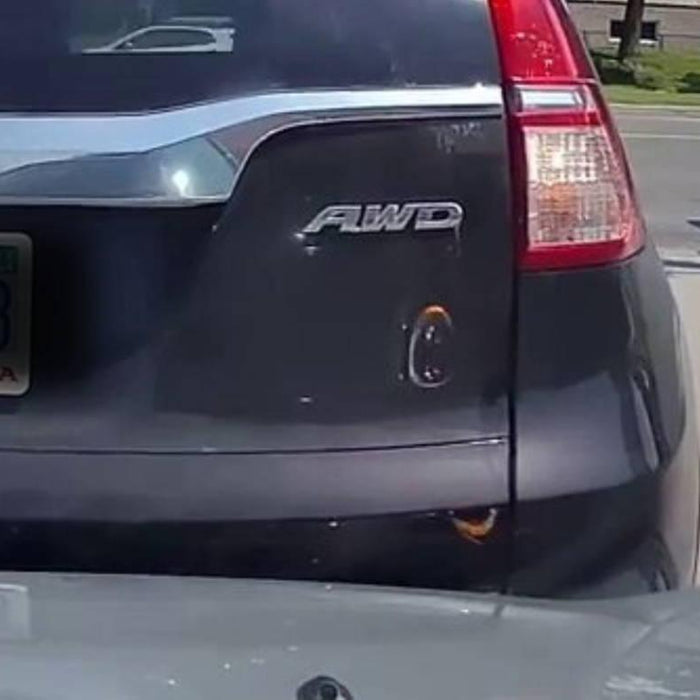 A Car Reverses into Anna's Mini Cooper cover image