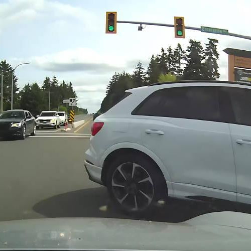Double trouble in shocking Surrey Dash Cam Footage cover image