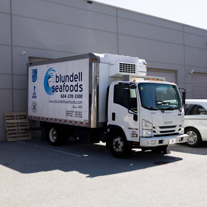 Installing a VIOFO WM1 1-Channel Dash Cam into a 2019 Isuzu NRR for Blundell Seafoods cover image